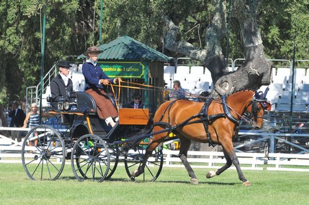 WORLD DRIVING CHAMPIONSHIPS FOR SINGLES 2012 – PORTUGAL