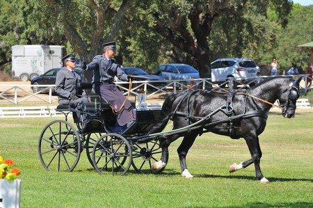 WORLD DRIVING CHAMPIONSHIPS FOR SINGLES 2012 – PORTUGAL