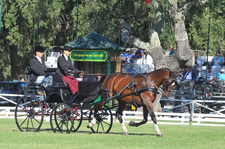 WORLD DRIVING CHAMPIONSHIPS FOR SINGLES 2012 – PORTUGAL