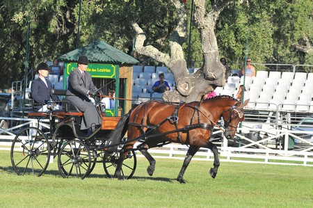 WORLD DRIVING CHAMPIONSHIPS FOR SINGLES 2012 – PORTUGAL