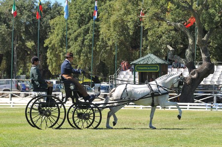 WORLD DRIVING CHAMPIONSHIPS FOR SINGLES 2012 – PORTUGAL