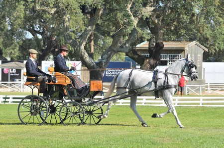 WORLD DRIVING CHAMPIONSHIPS FOR SINGLES 2012 – PORTUGAL