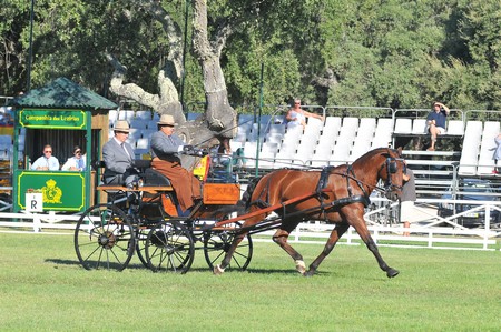 WORLD DRIVING CHAMPIONSHIPS FOR SINGLES 2012 – PORTUGAL