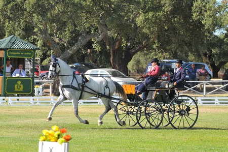 WORLD DRIVING CHAMPIONSHIPS FOR SINGLES 2012 – PORTUGAL