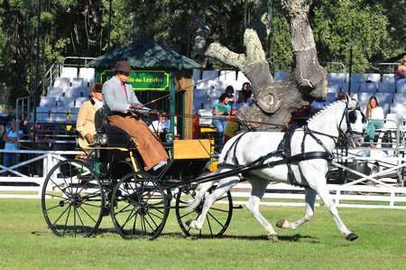 WORLD DRIVING CHAMPIONSHIPS FOR SINGLES 2012 – PORTUGAL
