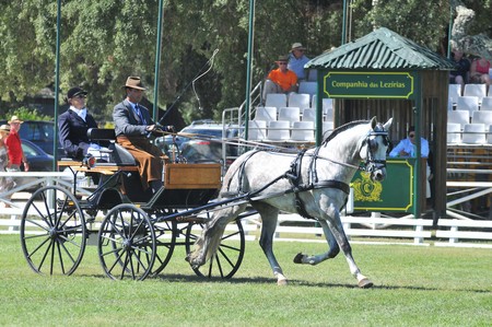 WORLD DRIVING CHAMPIONSHIPS FOR SINGLES 2012 – PORTUGAL