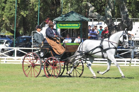 WORLD DRIVING CHAMPIONSHIPS FOR SINGLES 2012 – PORTUGAL