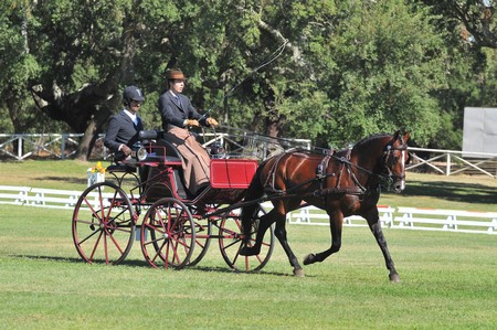 WORLD DRIVING CHAMPIONSHIPS FOR SINGLES 2012 – PORTUGAL
