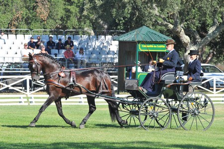 WORLD DRIVING CHAMPIONSHIPS FOR SINGLES 2012 – PORTUGAL