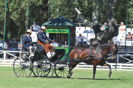 WORLD DRIVING CHAMPIONSHIPS FOR SINGLES 2012 – PORTUGAL
