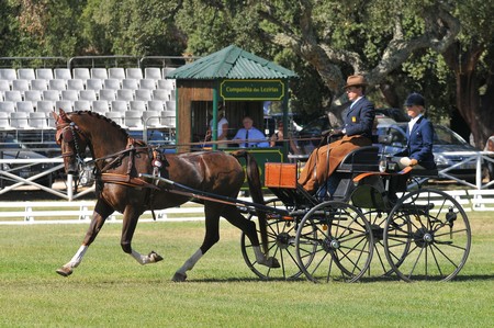 WORLD DRIVING CHAMPIONSHIPS FOR SINGLES 2012 – PORTUGAL