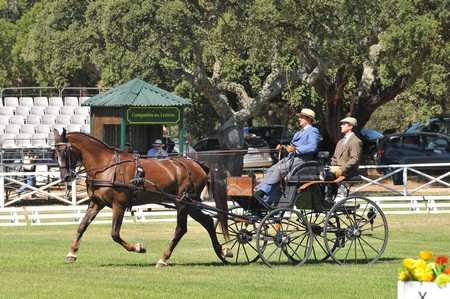 WORLD DRIVING CHAMPIONSHIPS FOR SINGLES 2012 – PORTUGAL