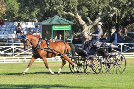 WORLD DRIVING CHAMPIONSHIPS FOR SINGLES 2012 – PORTUGAL