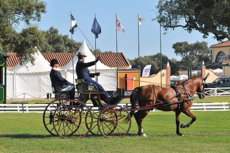 WORLD DRIVING CHAMPIONSHIPS FOR SINGLES 2012 – PORTUGAL