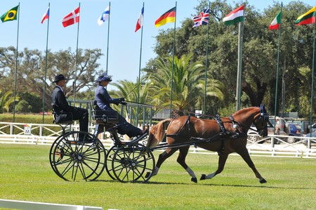 WORLD DRIVING CHAMPIONSHIPS FOR SINGLES 2012 – PORTUGAL