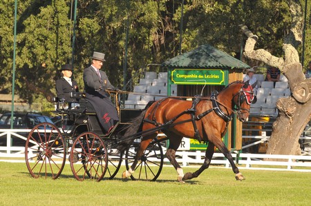 WORLD DRIVING CHAMPIONSHIPS FOR SINGLES 2012 – PORTUGAL