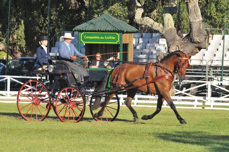 WORLD DRIVING CHAMPIONSHIPS FOR SINGLES 2012 – PORTUGAL