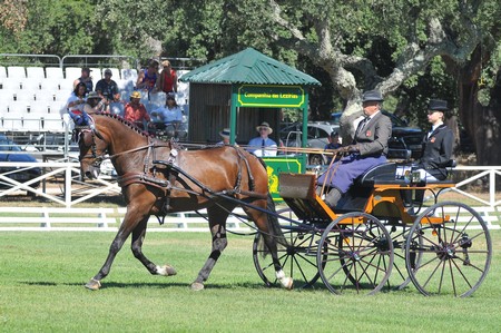 WORLD DRIVING CHAMPIONSHIPS FOR SINGLES 2012 – PORTUGAL