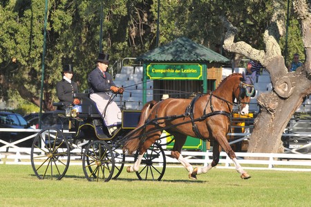 WORLD DRIVING CHAMPIONSHIPS FOR SINGLES 2012 – PORTUGAL