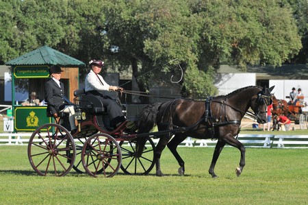WORLD DRIVING CHAMPIONSHIPS FOR SINGLES 2012 – PORTUGAL