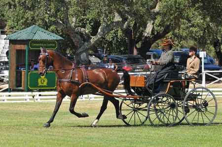 WORLD DRIVING CHAMPIONSHIPS FOR SINGLES 2012 – PORTUGAL