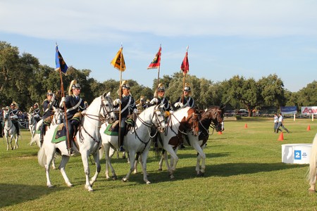 WORLD DRIVING CHAMPIONSHIPS FOR SINGLES 2012 – PORTUGAL