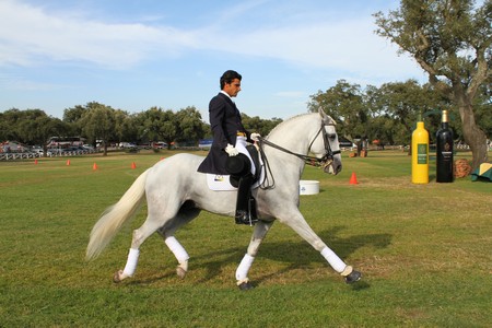 WORLD DRIVING CHAMPIONSHIPS FOR SINGLES 2012 – PORTUGAL