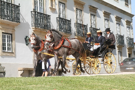 ATRELAGEM – V CONCURSO INTERNACIONAL DE ATRELAGEM DE TRADIÇÃO -GOLEGÃ 2012