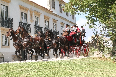 ATRELAGEM – V CONCURSO INTERNACIONAL DE ATRELAGEM DE TRADIÇÃO -GOLEGÃ 2012