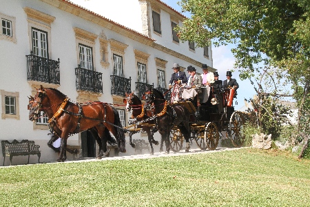 ATRELAGEM – V CONCURSO INTERNACIONAL DE ATRELAGEM DE TRADIÇÃO -GOLEGÃ 2012