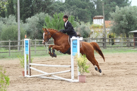 HIPISMO – POULE HIPICA DO CENTRO EQUESTRE DE ABRANTES 21-10-202