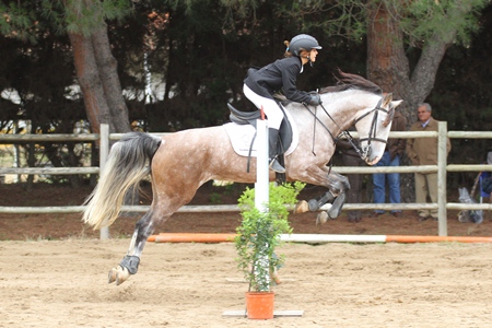HIPISMO – POULE HIPICA DO CENTRO EQUESTRE DE ABRANTES 21-10-202