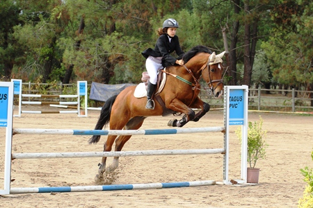 HIPISMO – POULE HIPICA DO CENTRO EQUESTRE DE ABRANTES 21-10-202