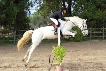 HIPISMO – POULE HIPICA DO CENTRO EQUESTRE DE ABRANTES 21-10-202