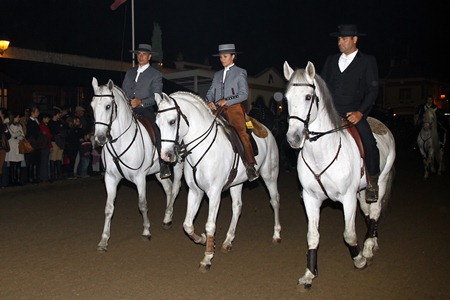 XXXVII FEIRA NACIONAL DO CAVALO – GOLEGÃ 2012