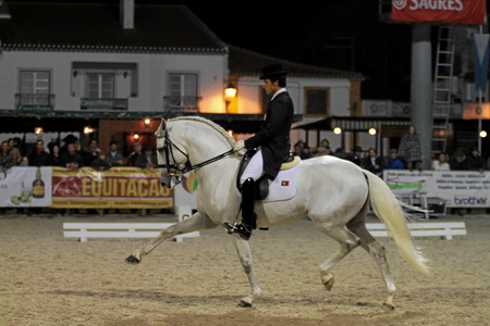 XXXVII FEIRA NACIONAL DO CAVALO – GOLEGÃ 2012