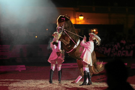 DIA 08 QUINTA FEIRAESPECTACULO EQUESTRECENTRO EQUESTRE DA LEZIRIA GRANDE(FOTOGRAFO – FER