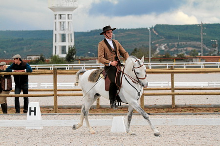 XXXVII FEIRA NACIONAL DO CAVALO – GOLEGÃ 2012