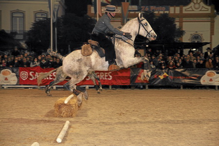 XXXVII FEIRA NACIONAL DO CAVALO – GOLEGÃ 2012