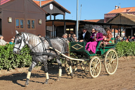 XXXVII FEIRA NACIONAL DO CAVALO – GOLEGÃ 2012