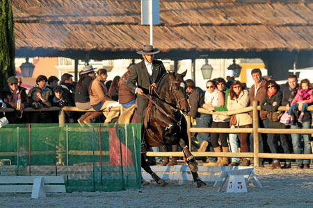 XXXVII FEIRA NACIONAL DO CAVALO – GOLEGÃ 2012