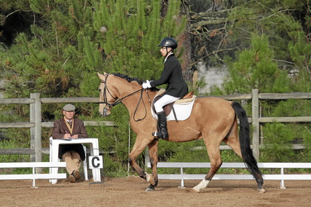 EXAME SELA 4 E SELA 7 – CENTRO EQUESTRE DE ABRANTES 2012