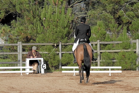 EXAME SELA 4 E SELA 7 – CENTRO EQUESTRE DE ABRANTES 2012