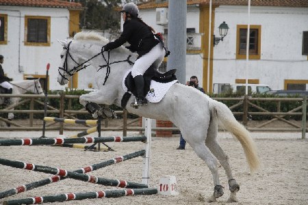 HIPISMO – ROTA DO TEJO 2013 – GOLEGÃ ANTE – 1º PROVA