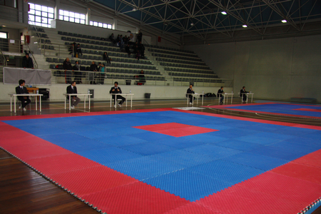TAEKWONDO – CAMPEONATO DISTRITO DO PORTO – POOMSAE KUPS/DANS
