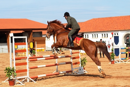 HIPISMO – ROTA DO TEJO 2013 – ABRANTES ESCOLA PRATICA DE CAVALARIA- 2º PROVA
