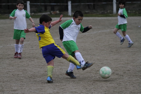 FUTEBOL – IX TORNEIO CONCELHIO DE ESCOLINHAS DE FUTEBOL ABRANTES 2013 – VALE DAS MOS