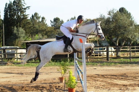HIPISMO – ROTA DO TEJO 2013 – CENTRO EQUESTRE DE ABRANTES