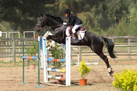 HIPISMO – ROTA DO TEJO 2013 – CENTRO EQUESTRE DE ABRANTES