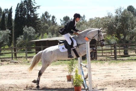 HIPISMO – ROTA DO TEJO 2013 – CENTRO EQUESTRE DE ABRANTES